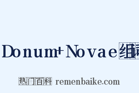 Donum+Novae组词是什么意思的图片